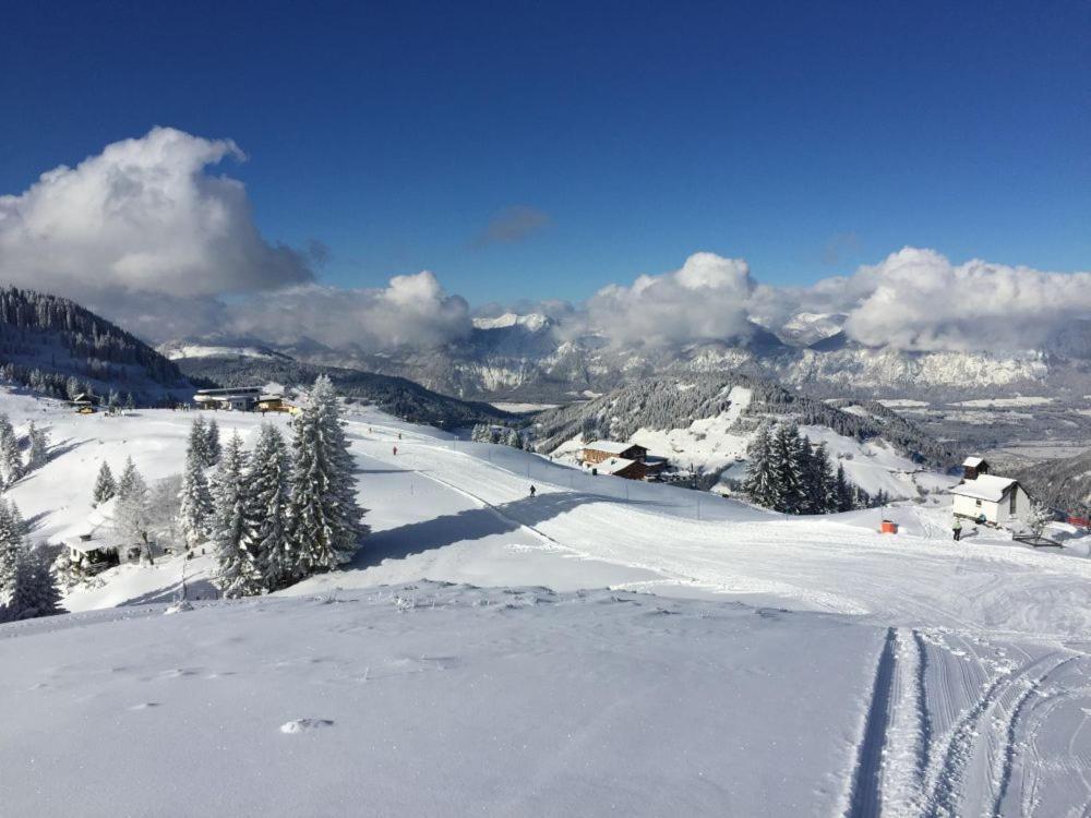 Sonnenalp Markbachjoch Xl Niederau Dış mekan fotoğraf